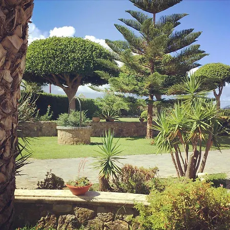 Citrarium - 3* Cetraro