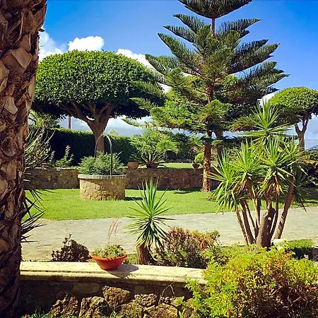 Bed and Breakfast Citrarium - Cetraro